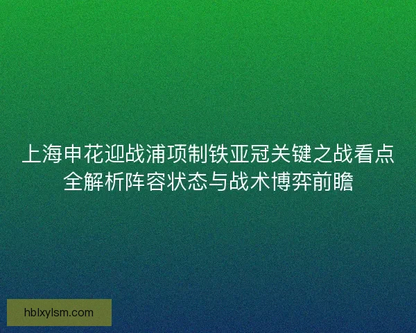 上海申花迎战浦项制铁亚冠关键之战看点全解析阵容状态与战术博弈前瞻